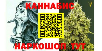 МДПВ Славгород