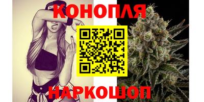 МДПВ Славгород