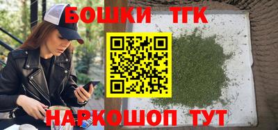 МДПВ Славгород